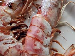 -星伦多 自助料理(圆融店)