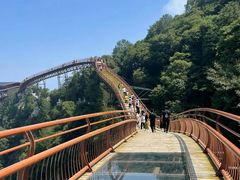-少华山国家森林公园