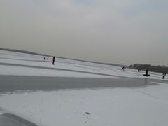 -丁香湖公园
