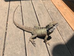 -可伦宾野生动物保护区