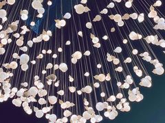 -南京中医药大学(仙林校区)