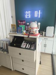 -菩叶脱发白发中心