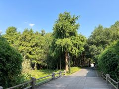 -西溪国家湿地公园