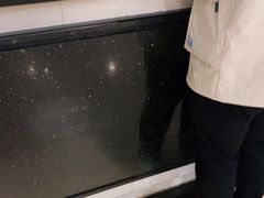 -北京望京华彩智选假日酒店