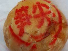 -真老大房鲜肉月饼(南京路步行街店)