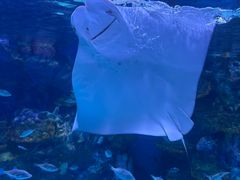 -海合安成都极地海洋公园