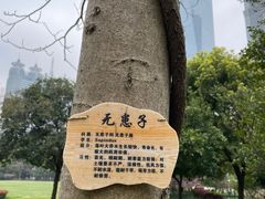 -陆家嘴中心绿地