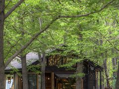 -长白岛森林公园