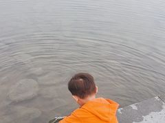 -南翔镇银翔湖公园