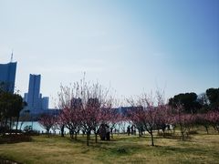 -天鹅湖体育公园