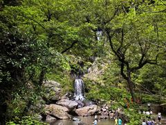 -石台牯牛降景区