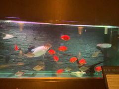 -手佳·水疗汇(嘉益店)