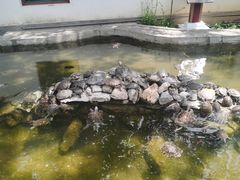 -红螺寺