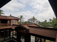 -东寨港红树林旅游区