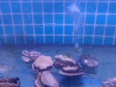 -面道赞宁海海鲜面(迎凤街店)