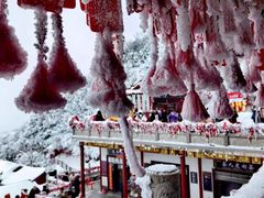 -老君山风景名胜区