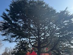 -青岛德国总督楼旧址博物馆