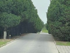 -秦始皇帝陵博物院-丽山园