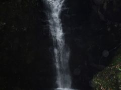 -长谷洞天