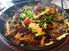 -老板恋上鱼(恒隆广场店)