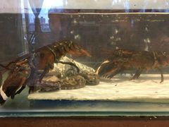 -火舞泰·泰式海鲜火锅餐厅(世纪城店)