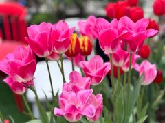 -Money Shops(愚园路店)