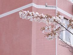 -红星桥(地铁站)