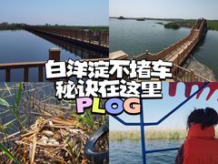 -白洋淀景区