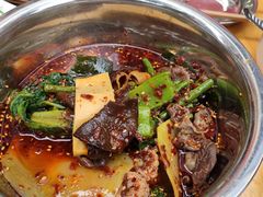 -舒记钵钵鸡