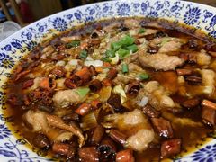 水煮肉片-东来菜馆•手抓海鲜家常菜•海鲜锅贴(鸽子窝店)