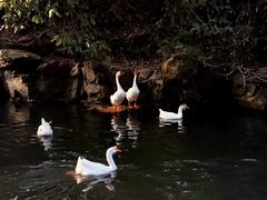 -兰亭风景区