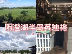 -苏州阳澄半岛英迪格酒店
