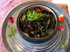-欢乐海岸美食联盟