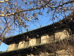 -北京协和医院(东单院区)