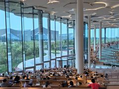 -飞梦少儿足球培训(塘桥校区)