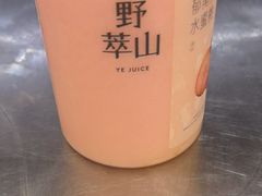-野萃山·潮汕厚果汁(十亩地店)