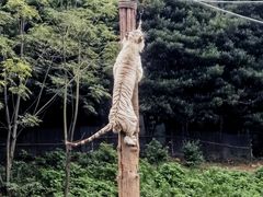 -宁波野生动物园