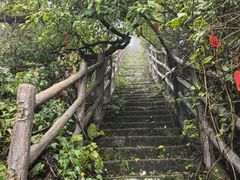 -老君山风景名胜区