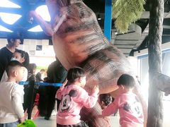 -辽宁古生物博物馆