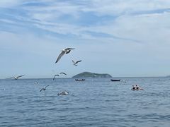 -银沙滩浴场