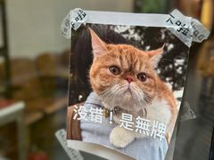 -无牌咖啡&酒馆