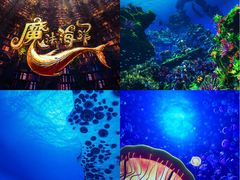 -海合安武汉极地海洋公园