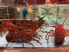 -阿伟海鲜楼·福建菜(延寿店)
