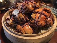 -军山湖云水间生态农业旅游景区