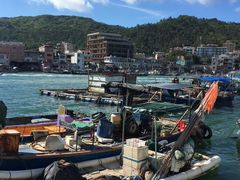 -广东惠东海龟国家级自然保护区