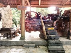 -云南勐巴娜西珍奇园