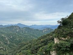 -大岭沟猕猴桃谷风景区