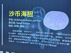 -欢乐海岸海洋奇梦馆