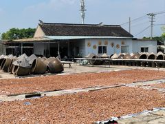 -苏州市吴中区光福窑上花果蜜饯厂