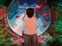 -沈阳海洋探索中心